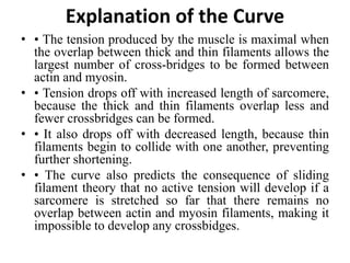 Explanation of the Curve
• • The tension produced by the muscle is maximal when
the overlap between thick and thin filaments allows the
largest number of cross-bridges to be formed between
actin and myosin.
• • Tension drops off with increased length of sarcomere,
because the thick and thin filaments overlap less and
fewer crossbridges can be formed.
• • It also drops off with decreased length, because thin
filaments begin to collide with one another, preventing
further shortening.
• • The curve also predicts the consequence of sliding
filament theory that no active tension will develop if a
sarcomere is stretched so far that there remains no
overlap between actin and myosin filaments, making it
impossible to develop any crossbidges.
 