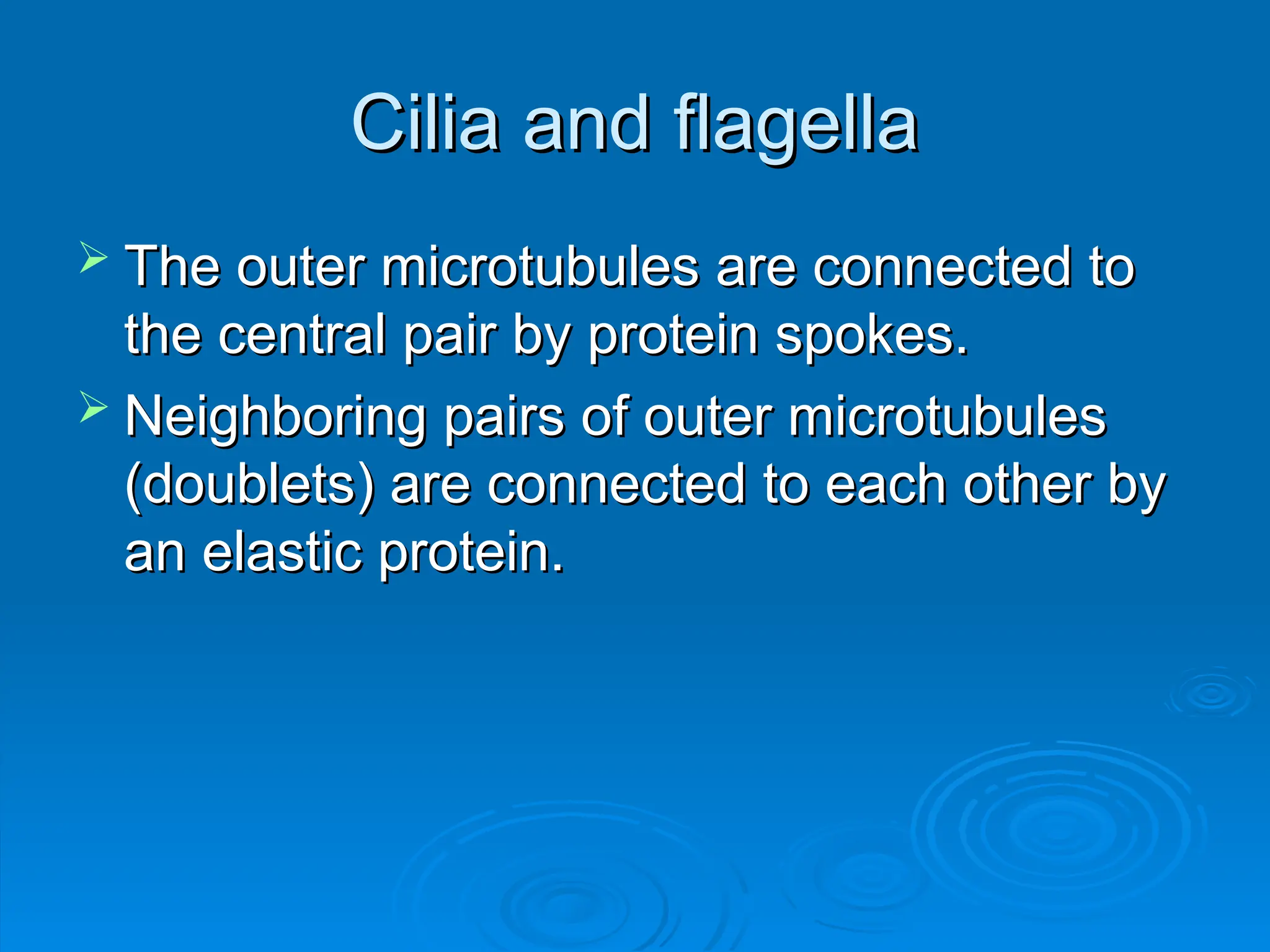 Cilia and flagella
Cilia and flagella
 The outer microtubules are connected to
The outer microtubules are connected to
the central pair by protein spokes.
the central pair by protein spokes.
 Neighboring pairs of outer microtubules
Neighboring pairs of outer microtubules
(doublets) are connected to each other by
(doublets) are connected to each other by
an elastic protein.
an elastic protein.
 