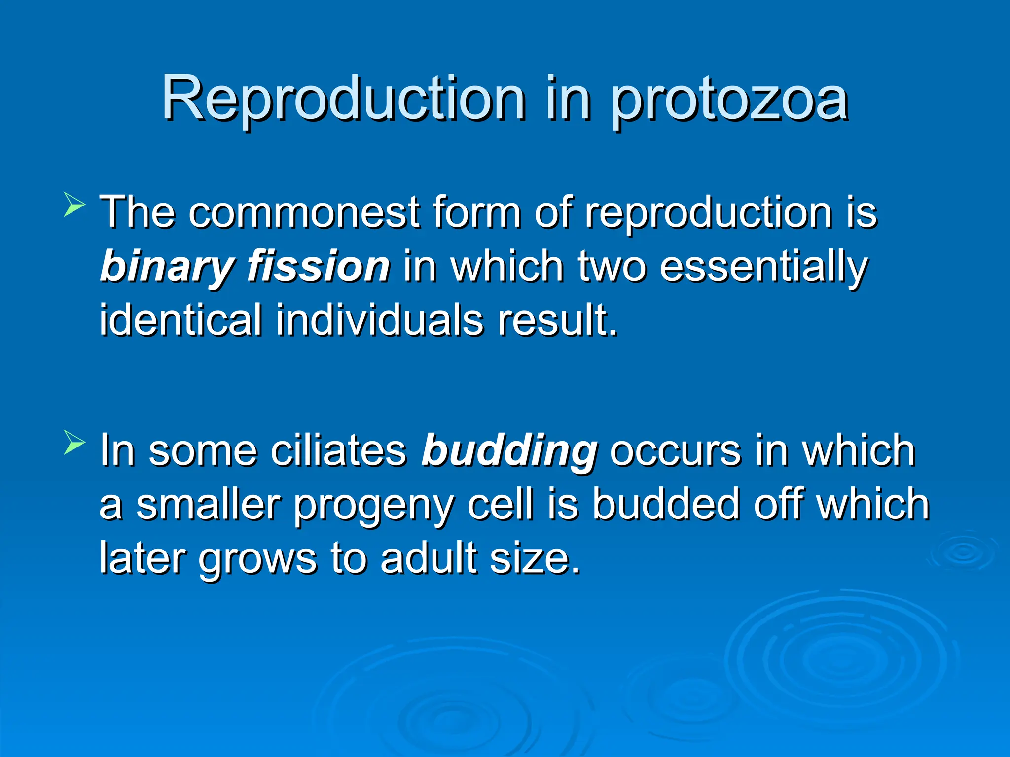 Reproduction in protozoa
Reproduction in protozoa
 The commonest form of reproduction is
The commonest form of reproduction is
binary fission
binary fission in which two essentially
in which two essentially
identical individuals result.
identical individuals result.
 In some ciliates
In some ciliates budding
budding occurs in which
occurs in which
a smaller progeny cell is budded off which
a smaller progeny cell is budded off which
later grows to adult size.
later grows to adult size.
 