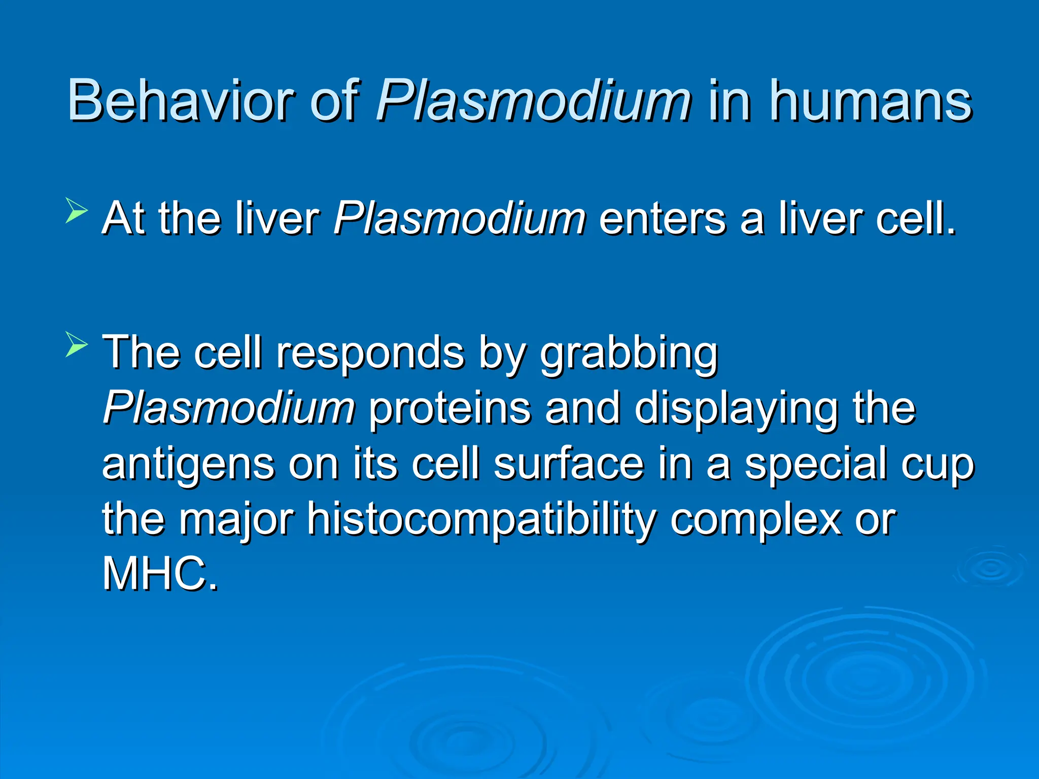 Behavior of
Behavior of Plasmodium
Plasmodium in humans
in humans
 At the liver
At the liver Plasmodium
Plasmodium enters a liver cell.
enters a liver cell.
 The cell responds by grabbing
The cell responds by grabbing
Plasmodium
Plasmodium proteins and displaying the
proteins and displaying the
antigens on its cell surface in a special cup
antigens on its cell surface in a special cup
the major histocompatibility complex or
the major histocompatibility complex or
MHC.
MHC.
 