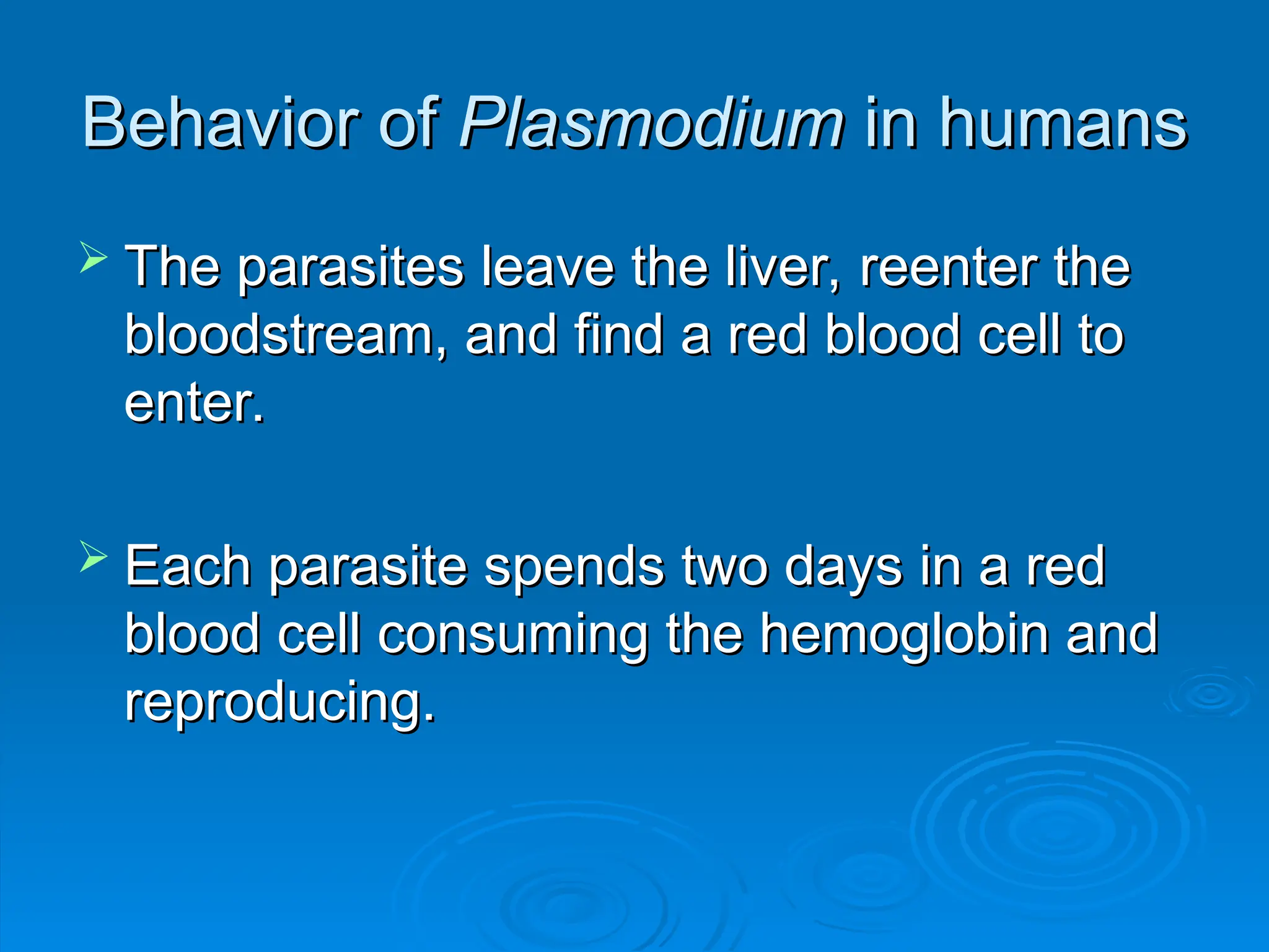 Behavior of
Behavior of Plasmodium
Plasmodium in humans
in humans
 The parasites leave the liver, reenter the
The parasites leave the liver, reenter the
bloodstream, and find a red blood cell to
bloodstream, and find a red blood cell to
enter.
enter.
 Each parasite spends two days in a red
Each parasite spends two days in a red
blood cell consuming the hemoglobin and
blood cell consuming the hemoglobin and
reproducing.
reproducing.
 