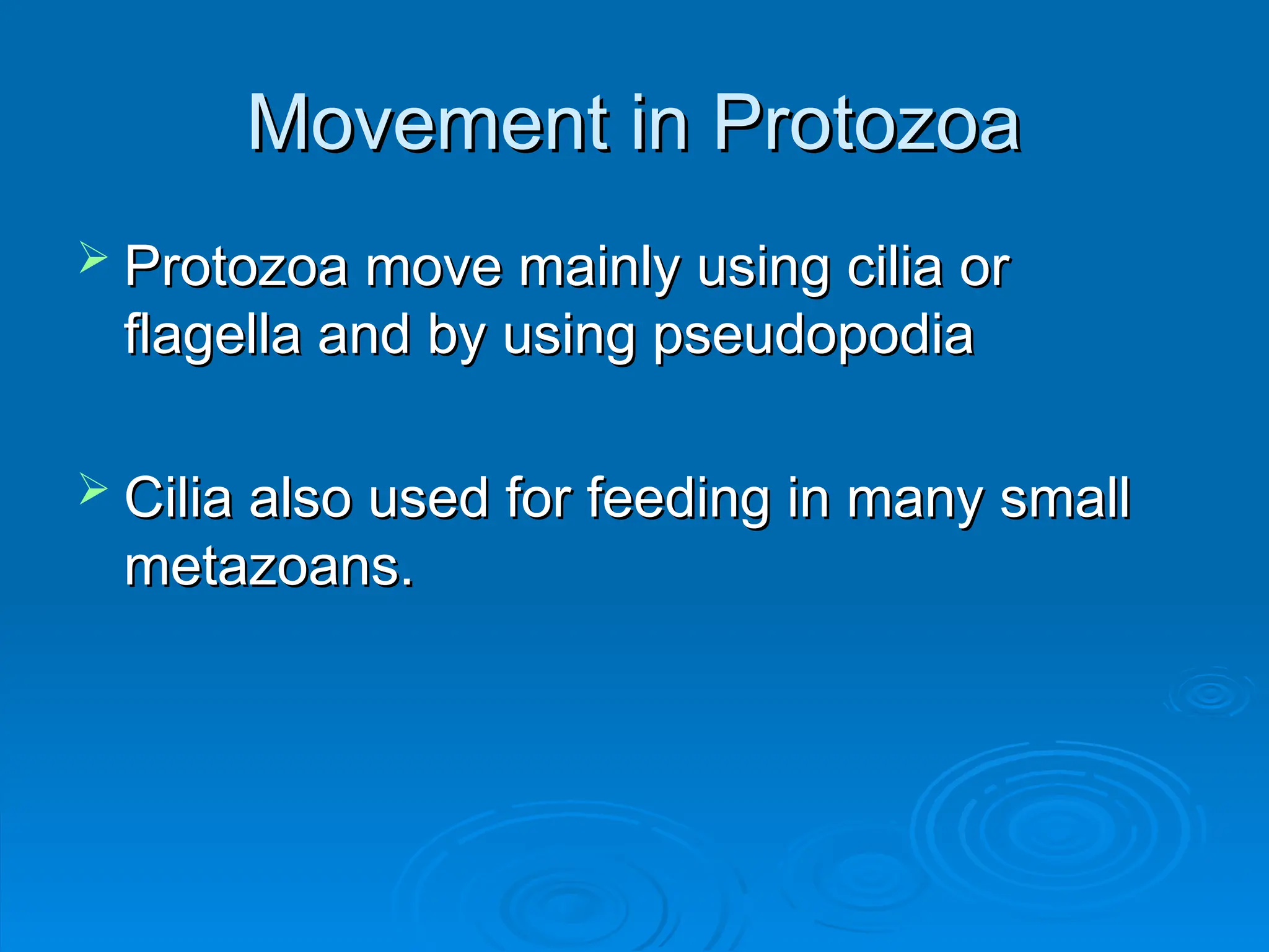 Movement in Protozoa
Movement in Protozoa
 Protozoa move mainly using cilia or
Protozoa move mainly using cilia or
flagella and by using pseudopodia
flagella and by using pseudopodia
 Cilia also used for feeding in many small
Cilia also used for feeding in many small
metazoans.
metazoans.
 