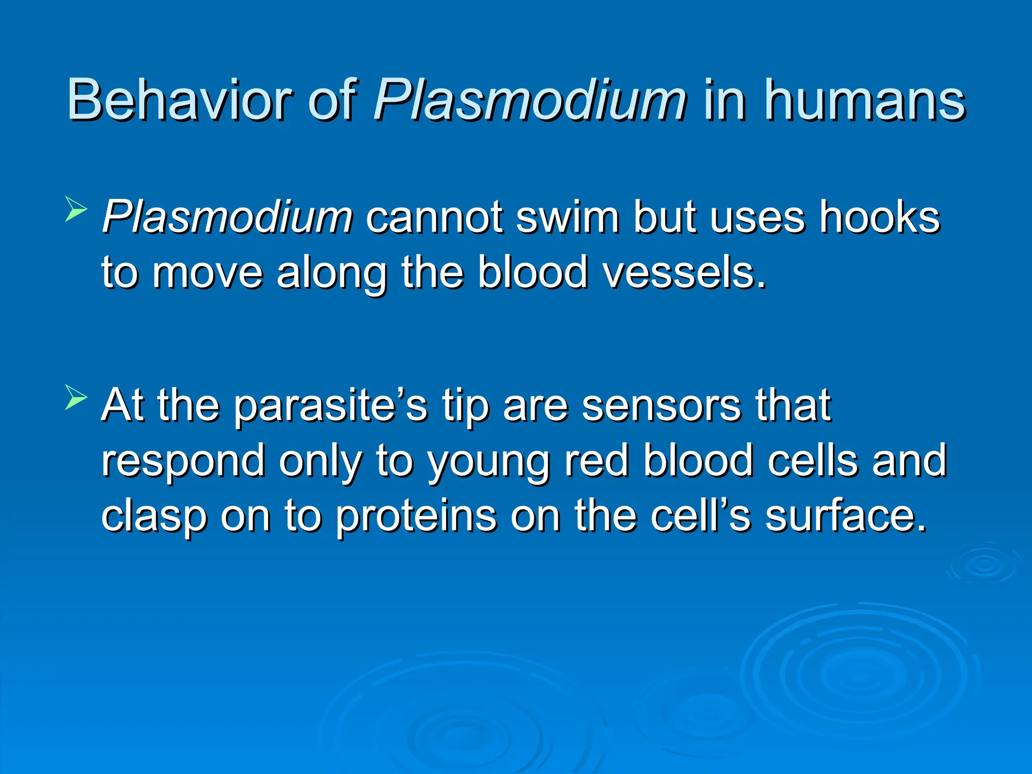 Behavior of
Behavior of Plasmodium
Plasmodium in humans
in humans
 Plasmodium
Plasmodium cannot swim but uses hooks
cannot swim but uses hooks
to move along the blood vessels.
to move along the blood vessels.
 At the parasite’s tip are sensors that
At the parasite’s tip are sensors that
respond only to young red blood cells and
respond only to young red blood cells and
clasp on to proteins on the cell’s surface.
clasp on to proteins on the cell’s surface.
 