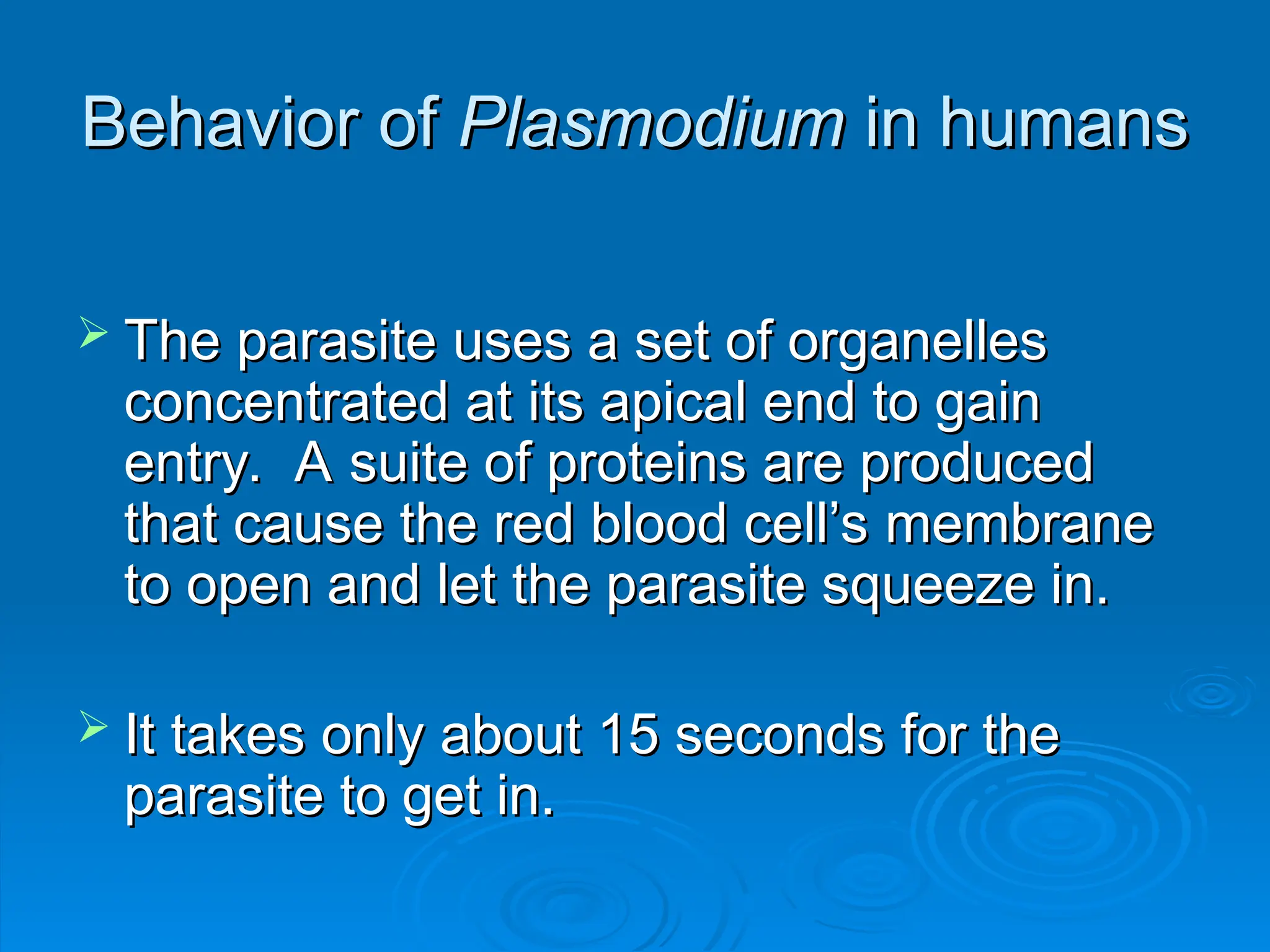 Behavior of
Behavior of Plasmodium
Plasmodium in humans
in humans
 The parasite uses a set of organelles
The parasite uses a set of organelles
concentrated at its apical end to gain
concentrated at its apical end to gain
entry. A suite of proteins are produced
entry. A suite of proteins are produced
that cause the red blood cell’s membrane
that cause the red blood cell’s membrane
to open and let the parasite squeeze in.
to open and let the parasite squeeze in.
 It takes only about 15 seconds for the
It takes only about 15 seconds for the
parasite to get in.
parasite to get in.
 