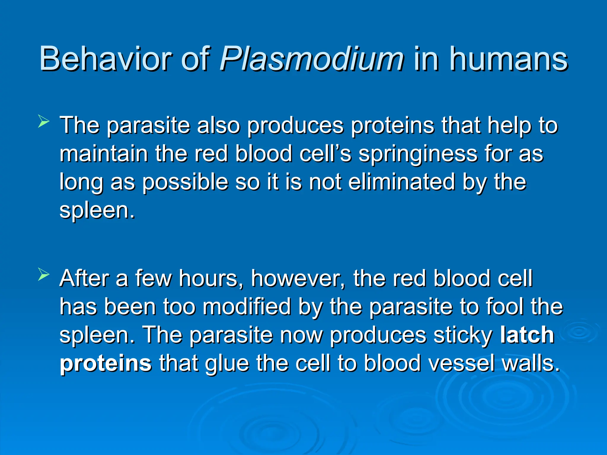 Behavior of
Behavior of Plasmodium
Plasmodium in humans
in humans
 The parasite also produces proteins that help to
The parasite also produces proteins that help to
maintain the red blood cell’s springiness for as
maintain the red blood cell’s springiness for as
long as possible so it is not eliminated by the
long as possible so it is not eliminated by the
spleen.
spleen.
 After a few hours, however, the red blood cell
After a few hours, however, the red blood cell
has been too modified by the parasite to fool the
has been too modified by the parasite to fool the
spleen. The parasite now produces sticky
spleen. The parasite now produces sticky latch
latch
proteins
proteins that glue the cell to blood vessel walls.
that glue the cell to blood vessel walls.
 