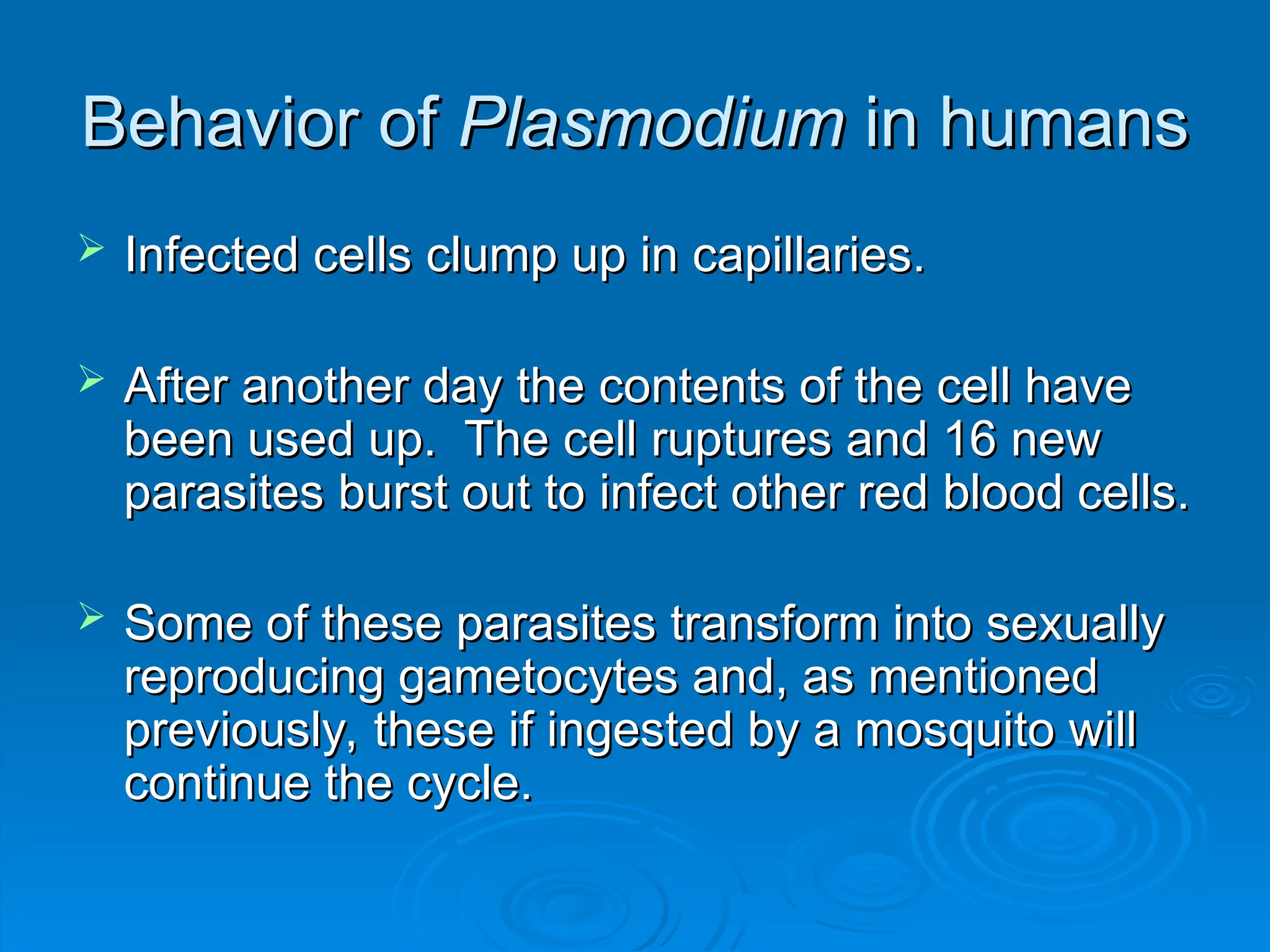 Behavior of
Behavior of Plasmodium
Plasmodium in humans
in humans
 Infected cells clump up in capillaries.
Infected cells clump up in capillaries.
 After another day the contents of the cell have
After another day the contents of the cell have
been used up. The cell ruptures and 16 new
been used up. The cell ruptures and 16 new
parasites burst out to infect other red blood cells.
parasites burst out to infect other red blood cells.
 Some of these parasites transform into sexually
Some of these parasites transform into sexually
reproducing gametocytes and, as mentioned
reproducing gametocytes and, as mentioned
previously, these if ingested by a mosquito will
previously, these if ingested by a mosquito will
continue the cycle.
continue the cycle.
 