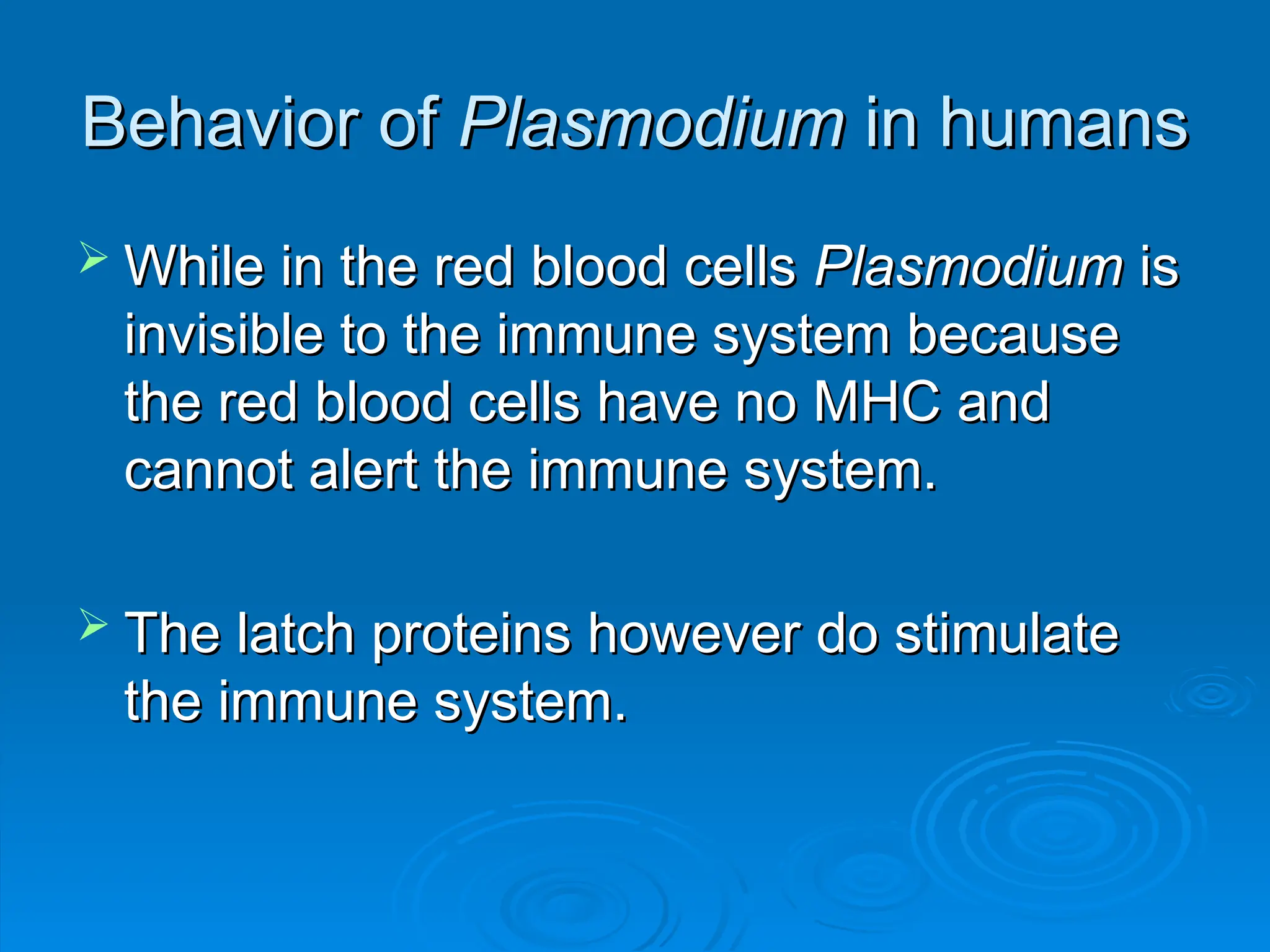 Behavior of
Behavior of Plasmodium
Plasmodium in humans
in humans
 While in the red blood cells
While in the red blood cells Plasmodium
Plasmodium is
is
invisible to the immune system because
invisible to the immune system because
the red blood cells have no MHC and
the red blood cells have no MHC and
cannot alert the immune system.
cannot alert the immune system.
 The latch proteins however do stimulate
The latch proteins however do stimulate
the immune system.
the immune system.
 
