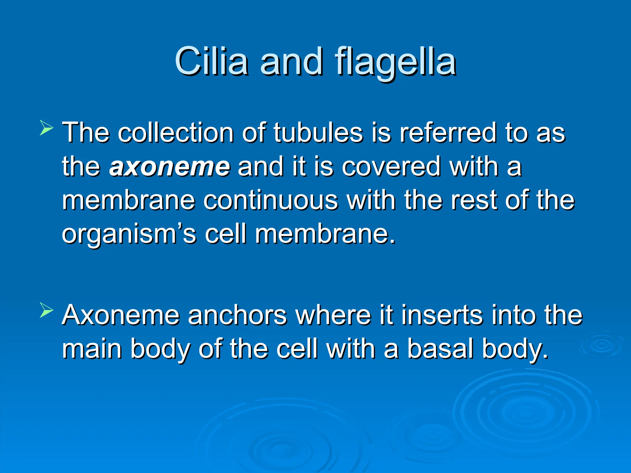 Cilia and flagella
Cilia and flagella
 The collection of tubules is referred to as
The collection of tubules is referred to as
the
the axoneme
axoneme and it is covered with a
and it is covered with a
membrane continuous with the rest of the
membrane continuous with the rest of the
organism’s cell membrane.
organism’s cell membrane.
 Axoneme anchors where it inserts into the
Axoneme anchors where it inserts into the
main body of the cell with a basal body.
main body of the cell with a basal body.
 