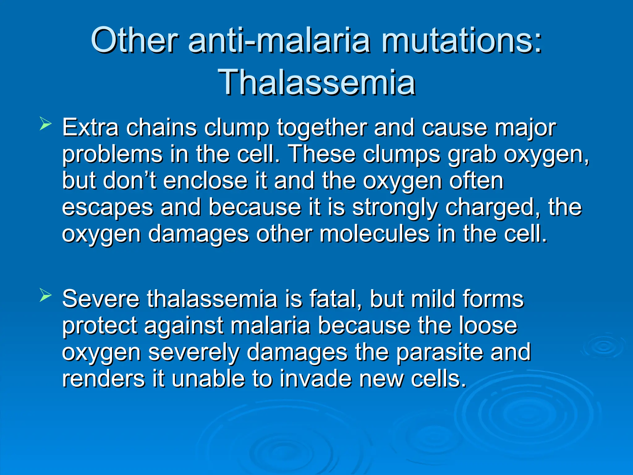 Other anti-malaria mutations:
Other anti-malaria mutations:
Thalassemia
Thalassemia
 Extra chains clump together and cause major
Extra chains clump together and cause major
problems in the cell. These clumps grab oxygen,
problems in the cell. These clumps grab oxygen,
but don’t enclose it and the oxygen often
but don’t enclose it and the oxygen often
escapes and because it is strongly charged, the
escapes and because it is strongly charged, the
oxygen damages other molecules in the cell.
oxygen damages other molecules in the cell.
 Severe thalassemia is fatal, but mild forms
Severe thalassemia is fatal, but mild forms
protect against malaria because the loose
protect against malaria because the loose
oxygen severely damages the parasite and
oxygen severely damages the parasite and
renders it unable to invade new cells.
renders it unable to invade new cells.
 