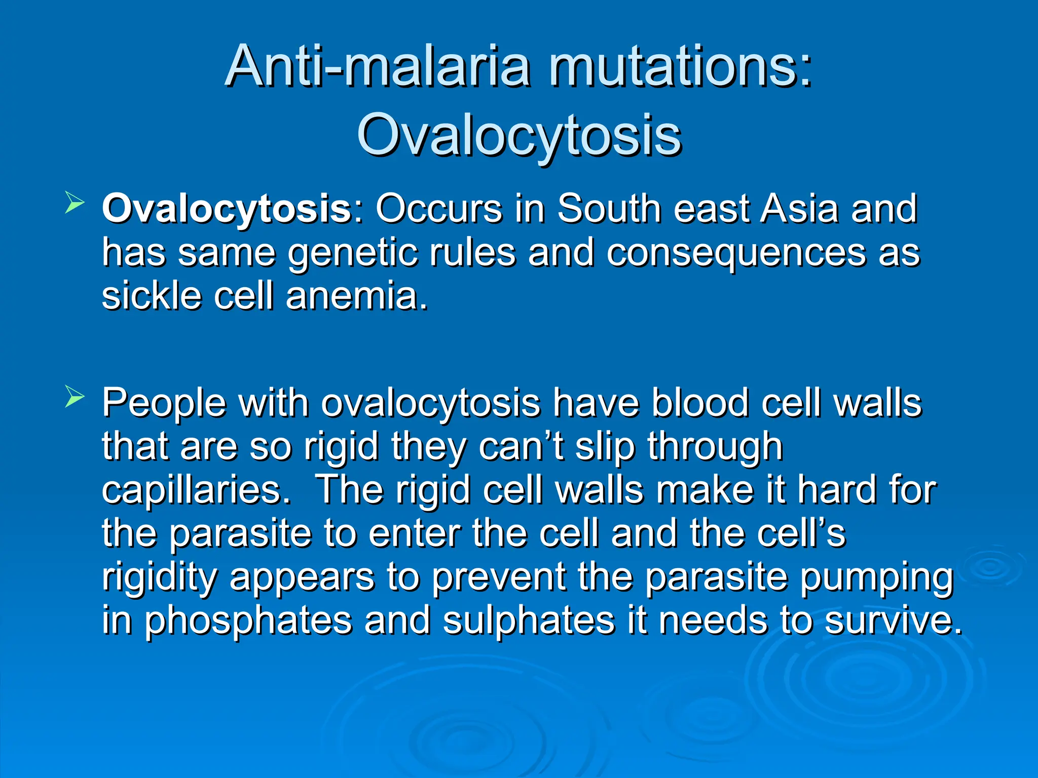 Anti-malaria mutations:
Anti-malaria mutations:
Ovalocytosis
Ovalocytosis
 Ovalocytosis
Ovalocytosis: Occurs in South east Asia and
: Occurs in South east Asia and
has same genetic rules and consequences as
has same genetic rules and consequences as
sickle cell anemia.
sickle cell anemia.
 People with ovalocytosis have blood cell walls
People with ovalocytosis have blood cell walls
that are so rigid they can’t slip through
that are so rigid they can’t slip through
capillaries. The rigid cell walls make it hard for
capillaries. The rigid cell walls make it hard for
the parasite to enter the cell and the cell’s
the parasite to enter the cell and the cell’s
rigidity appears to prevent the parasite pumping
rigidity appears to prevent the parasite pumping
in phosphates and sulphates it needs to survive.
in phosphates and sulphates it needs to survive.
 