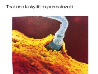 That one lucky little spermatozoid
 