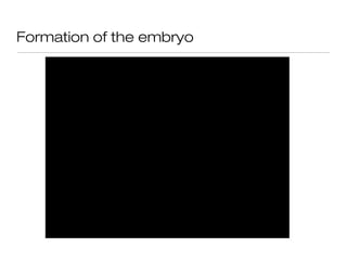 Formation of the embryo
 