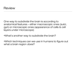 Review



One way to subdivide the brain is according to
anatomical features – either macroscopic ones (sulci,
gyri) or microscopic ones (appearance of cells & cell
layers under microscope)

•What’s another way to subdivide the brain?

•Which techniques can we use in humans to figure out
what a brain region does?
 