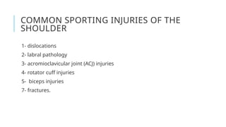 Comprehensive Overview of Shoulder Joint Anatomy, Injuries, and ...