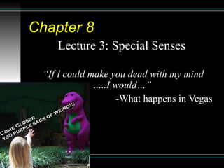 Chapter 8   Lecture 3: Special Senses  “ If I could make you dead with my mind …..I would…”  -What happens in Vegas 