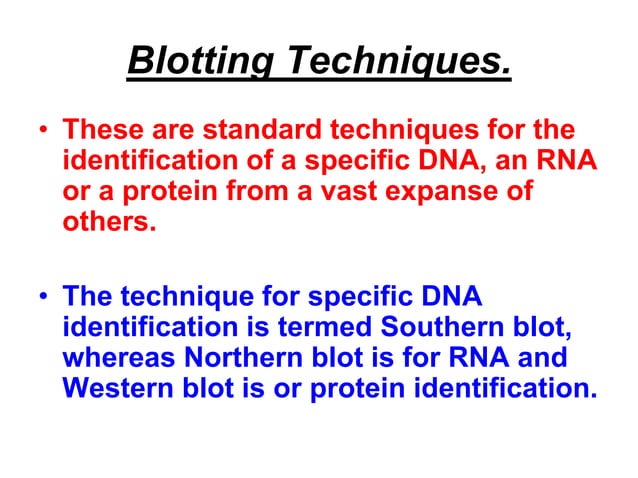 Lecture 3 southern blotting | PPT
