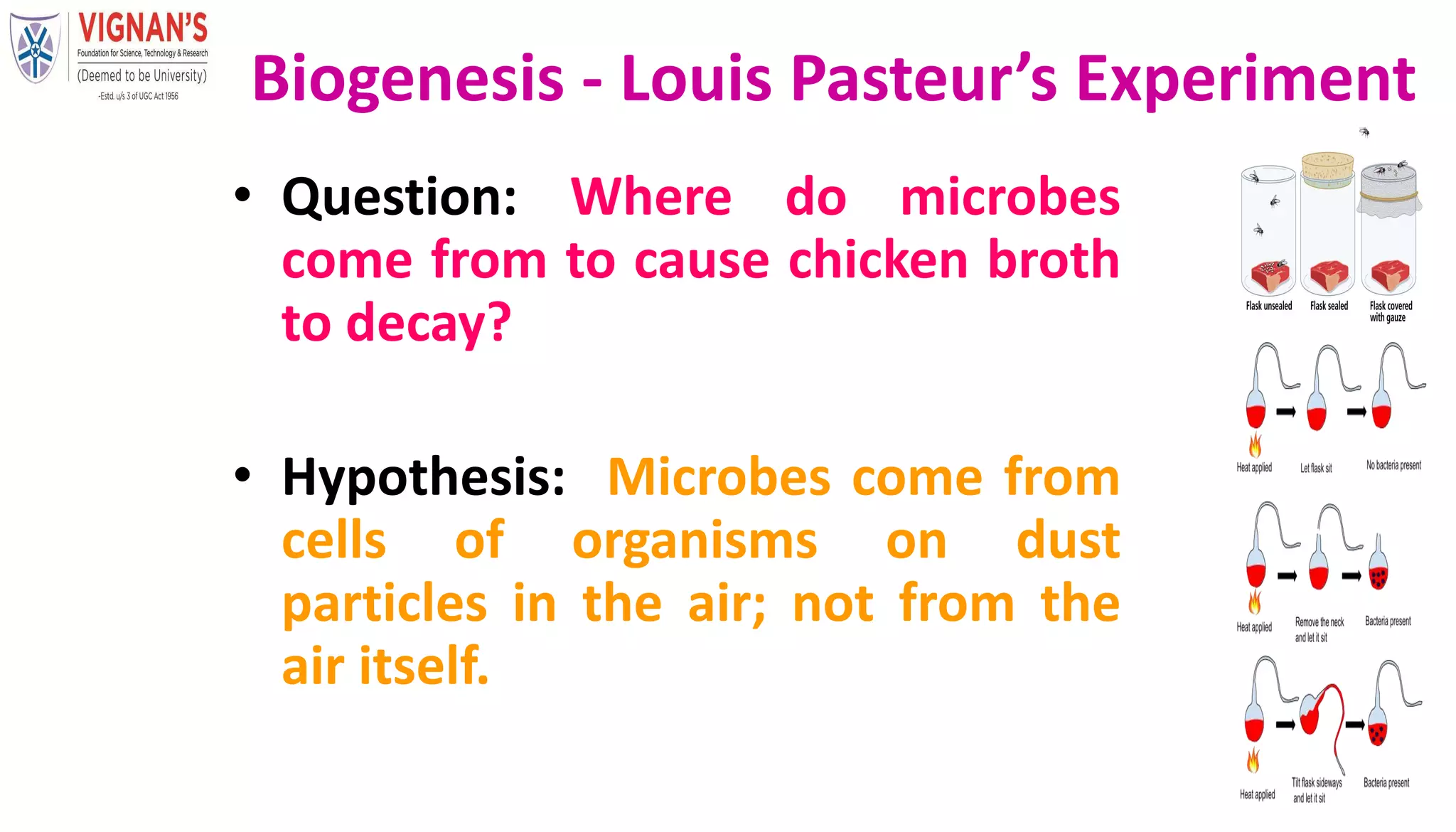• Question: Where do microbes
come from to cause chicken broth
to decay?
• Hypothesis: Microbes come from
cells of organisms on dust
particles in the air; not from the
air itself.
Biogenesis - Louis Pasteur’s Experiment
 