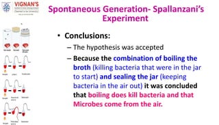 • Conclusions:
– The hypothesis was accepted
– Because the combination of boiling the
broth (killing bacteria that were in the jar
to start) and sealing the jar (keeping
bacteria in the air out) it was concluded
that boiling does kill bacteria and that
Microbes come from the air.
Spontaneous Generation- Spallanzani’s
Experiment
 