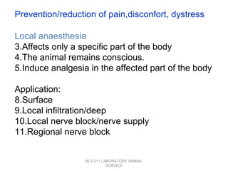 [object Object],[object Object],[object Object],[object Object],[object Object],[object Object],[object Object],[object Object],[object Object],BLS 211 LABORATORY ANIMAL SCIENCE Prevention/reduction of pain,disconfort, dystress 