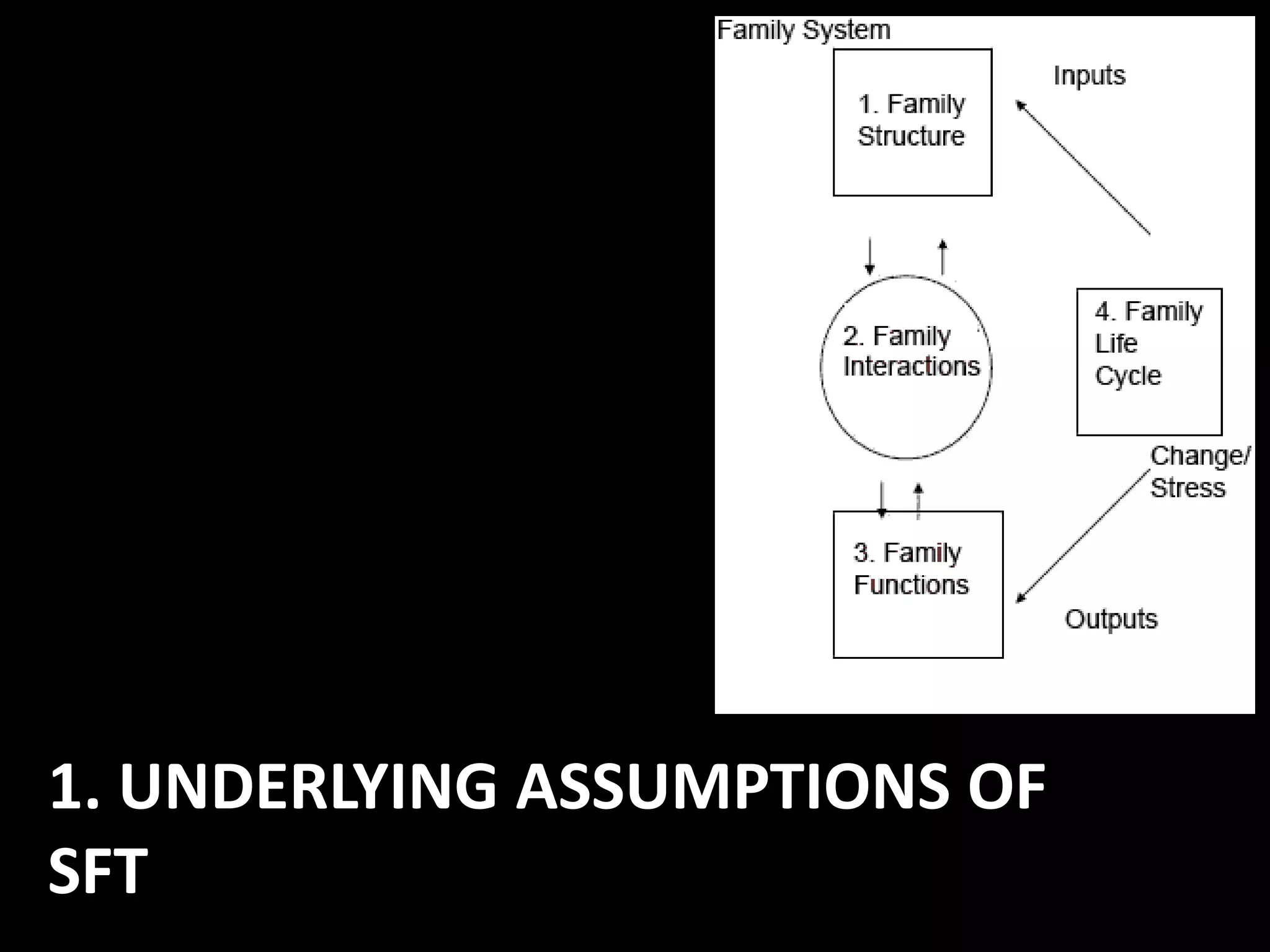 1. UNDERLYING ASSUMPTIONS OF
SFT

 