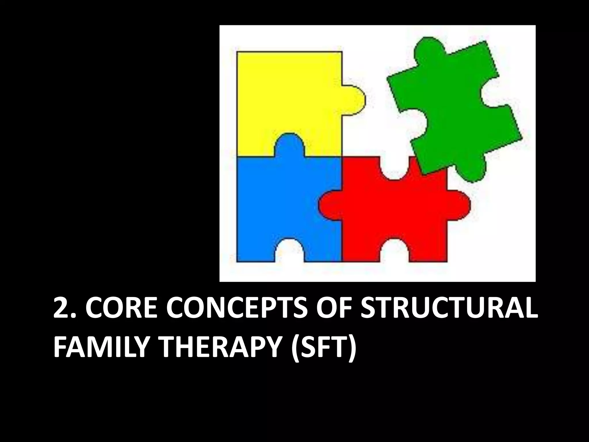 2. CORE CONCEPTS OF STRUCTURAL
FAMILY THERAPY (SFT)

 