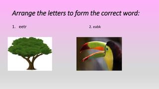 Arrange the letters to form the correct word:
1. eetr 2. eabk
 