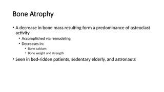 Lecture 3 The Biomechanics of Human Bone Growth and Development.pptx