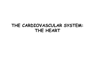 THE CARDIOVASCULAR SYSTEM:
THE HEART
 