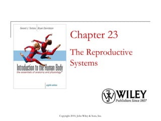 Chapter 23
The Reproductive
Systems

Copyright 2010, John Wiley & Sons, Inc.

 