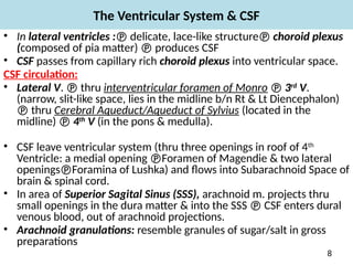 Comprehensive Overview of the Brain's Ventricular System and ...
