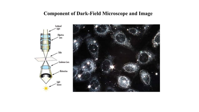 Lecture 3 Unit-I Bright-field & Dark-field Microscopy.pdf