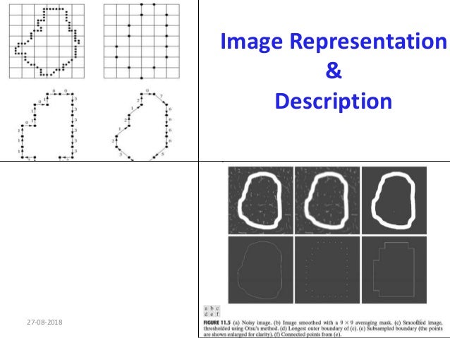 Fundamental Steps of Digital Image Processing & Image Components
