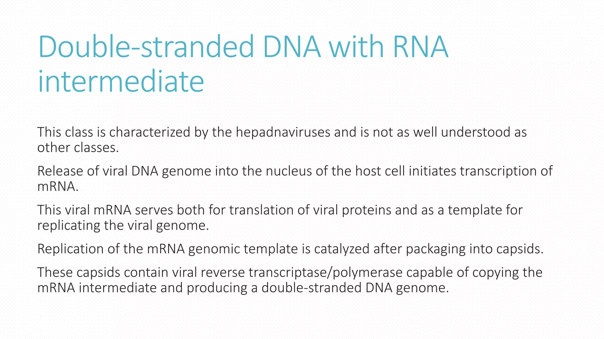 Hepadnavirus Reverse Transcriptase Lecture 3 Viral Genomes.pptx | Biological Sciences | Science