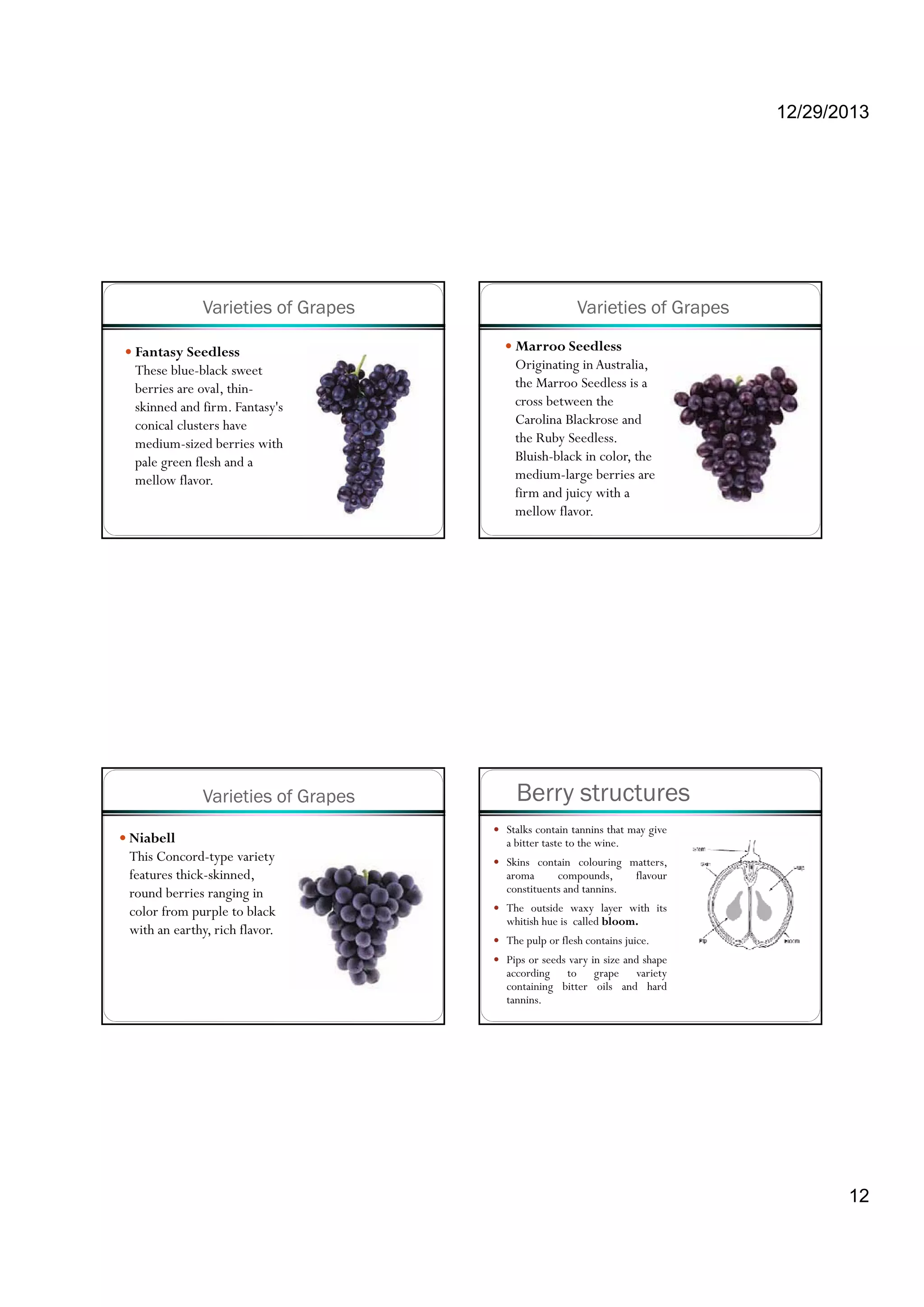 12/29/2013
12
Varieties of Grapes
Fantasy Seedless
These blue-black sweet
berries are oval, thin-
skinned and firm Fantasy'sskinned and firm. Fantasy s
conical clusters have
medium-sized berries with
pale green flesh and a
mellow flavor.
Varieties of Grapes
Marroo Seedless
Originating in Australia,
the Marroo Seedless is a
cross between the
Carolina Blackrose and
the Ruby Seedless.
Bluish-black in color, the
medium-large berries are
firm and juicy with a
mellow flavor.
Varieties of Grapes
Niabell
This Concord-type variety
features thick-skinned,
round berries ranging inround berries ranging in
color from purple to black
with an earthy, rich flavor.
Berry structures
Stalks contain tannins that may give
a bitter taste to the wine.
Skins contain colouring matters,
aroma compounds, flavour
constituents and tannins.
The outside waxy layer with its
whitish hue is called bloom.
The pulp or flesh contains juice.
Pips or seeds vary in size and shape
according to grape variety
containing bitter oils and hard
tannins.
 
