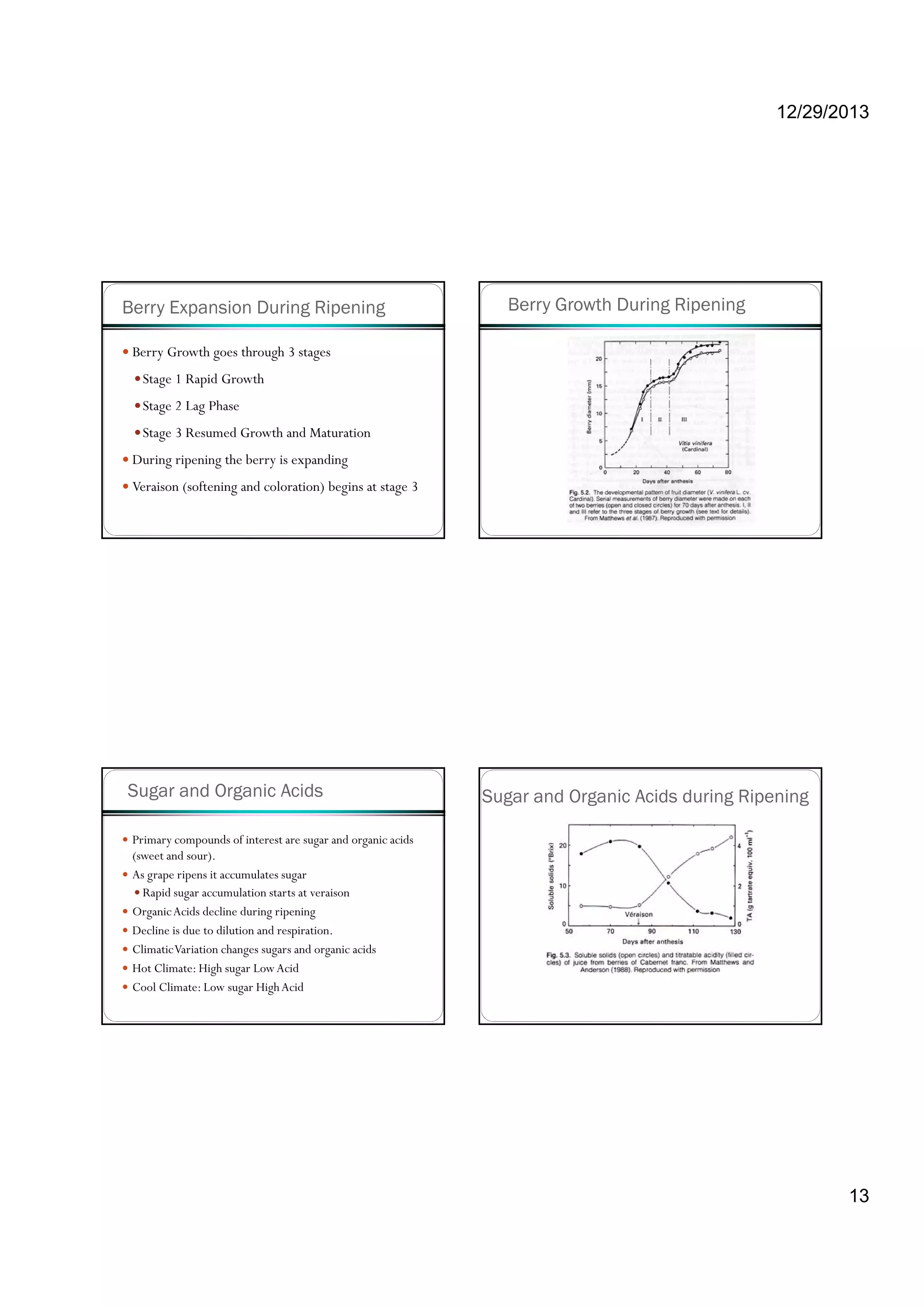 12/29/2013
13
Berry Expansion During Ripening
Berry Growth goes through 3 stages
Stage 1 Rapid Growth
Stage 2 Lag PhaseStage ag ase
Stage 3 Resumed Growth and Maturation
During ripening the berry is expanding
Veraison (softening and coloration) begins at stage 3
Berry Growth During Ripening
Sugar and Organic Acids
Primary compounds of interest are sugar and organic acids
(sweet and sour).
As grape ripens it accumulates sugar
Rapid sugar accumulation starts at veraisonRapid sugar accumulation starts at veraison
OrganicAcids decline during ripening
Decline is due to dilution and respiration.
ClimaticVariation changes sugars and organic acids
Hot Climate: High sugar LowAcid
Cool Climate: Low sugar HighAcid
Sugar and Organic Acids during Ripening
 