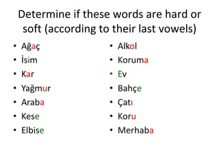 Determine if these words are hard or soft (according to their last vowels) 
