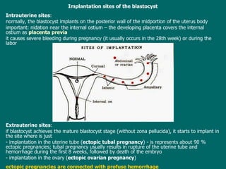 Implantation sites  of the blastocyst Intrauterine sites :  normally ,  the blastocyst implants on the posterior wall of the midportion of the uterus body important: nidation  near the internal ostium  – the  develop ing  placenta covers the internal ostium as  placenta previa it  cause s  severe bleeding during pregnancy ( it usually occurs  in the 28th week) or  during the labor Extrauterine sites :  i f blastocyst  achieves  the mature blastocyst  stage ( without zona pellucida) , it  starts to implant in the site where is just  -  implantation in the uterine tube ( ectopic tubal pregnancy ) - is represents about 90 % ectopic pregnancies; tubal pregnancy usually results in rupture of the uterine tube and hemorrhage during the first 8 weeks, followed by death of the embryo   - implantation in the ovary ( ectopic ovarian pregnancy ) ectopic pregnancies are connected with profuse hemorrhage 