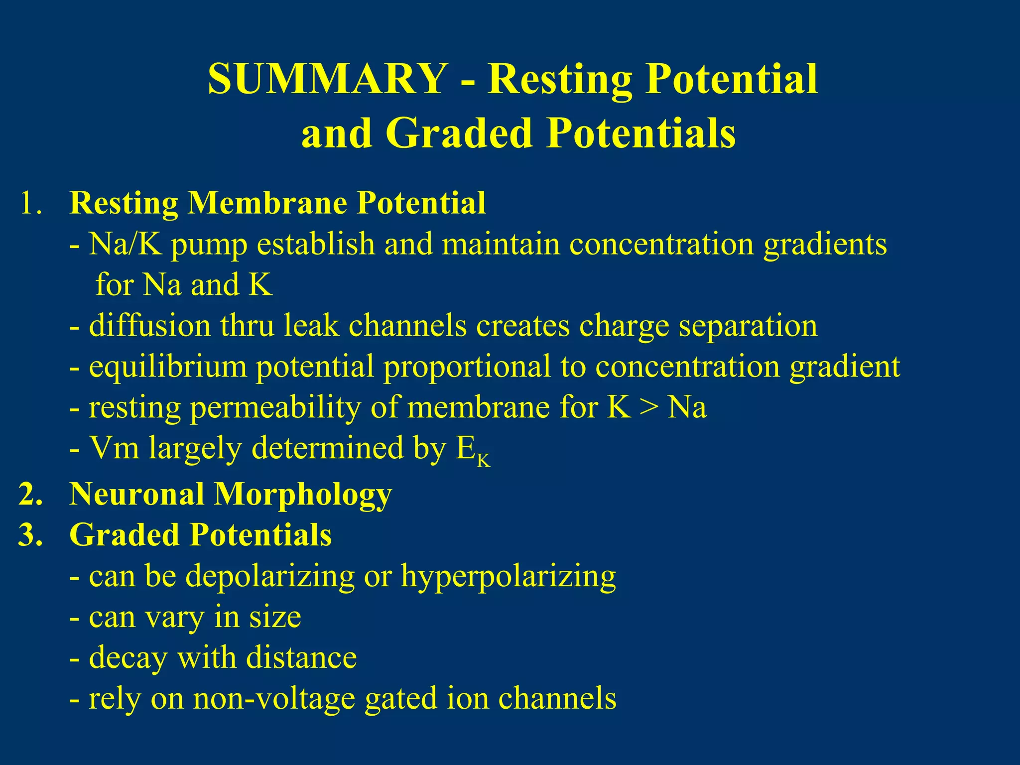 SUMMARY - Resting Potential
and Graded Potentials
1. Resting Membrane Potential
- Na/K pump establish and maintain concentration gradients
for Na and K
- diffusion thru leak channels creates charge separation
- equilibrium potential proportional to concentration gradient
- resting permeability of membrane for K > Na
- Vm largely determined by EK
2. Neuronal Morphology
3. Graded Potentials
- can be depolarizing or hyperpolarizing
- can vary in size
- decay with distance
- rely on non-voltage gated ion channels
 