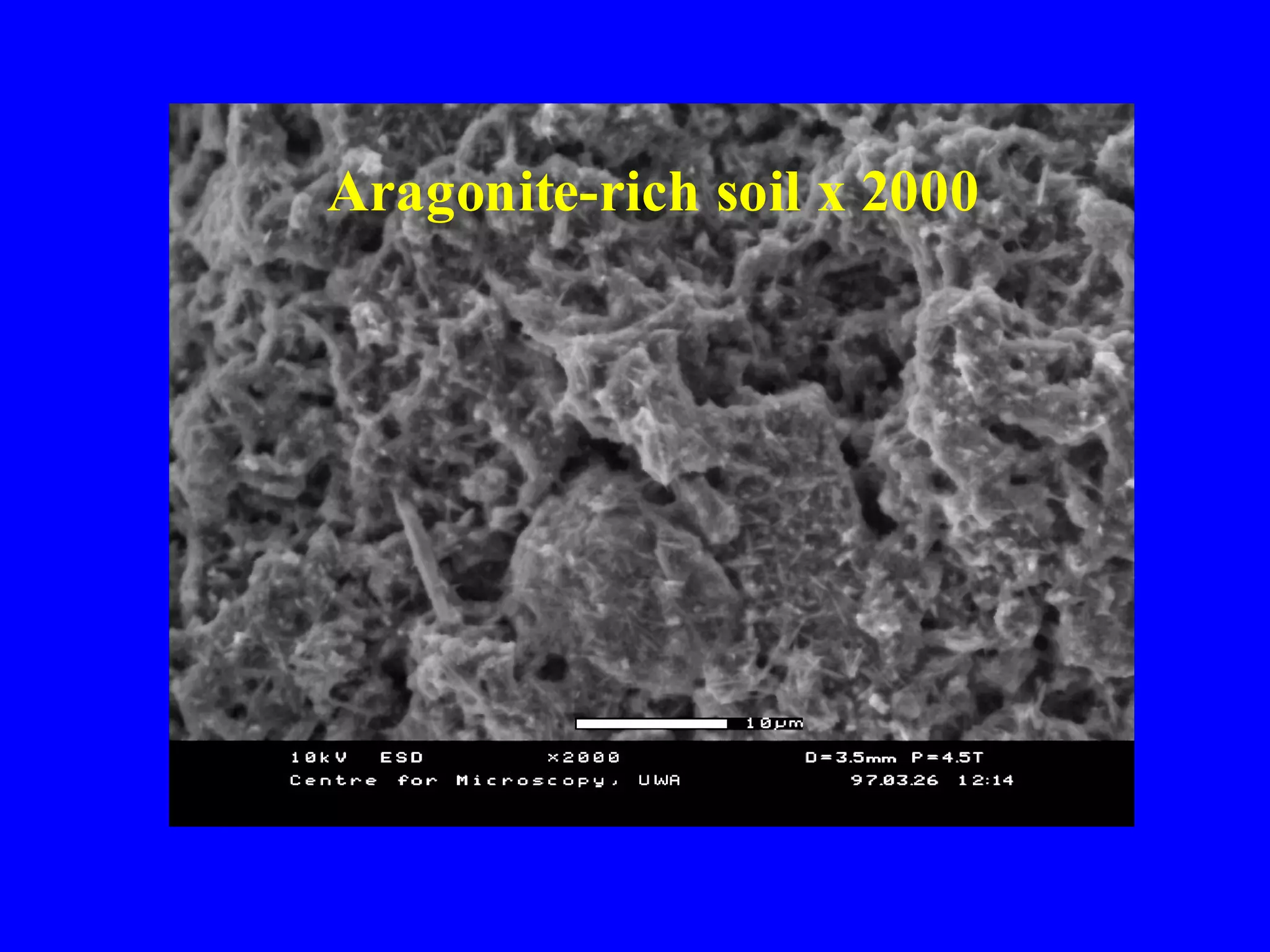 Aragonite-rich soil x 2000
 