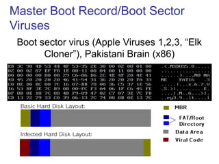 Master Boot Record/Boot Sector
Viruses
Boot sector virus (Apple Viruses 1,2,3, “Elk
Cloner”), Pakistani Brain (x86)
 