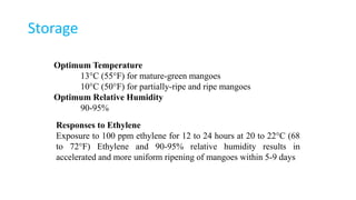 Mango Storage Temperature Production technology of Mango | PPTX