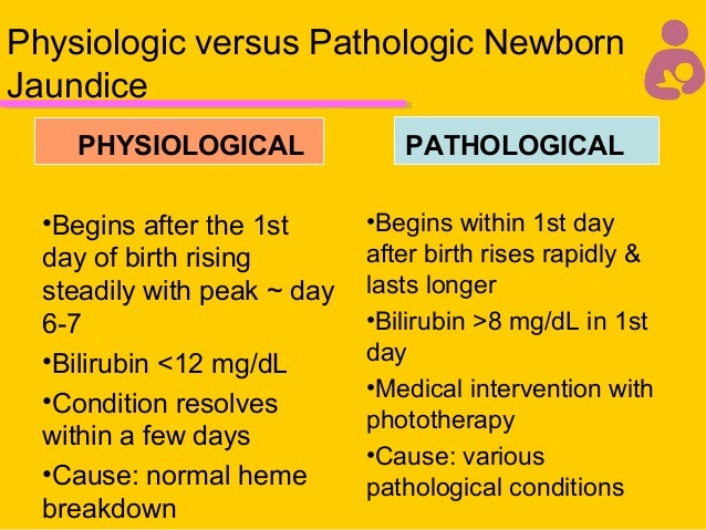 bilirubin levels in pathological jaundice bilirubin levels in pathological jaundice