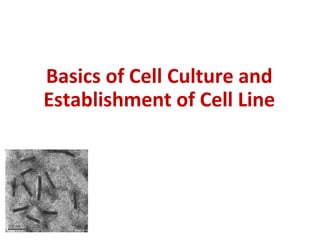 Basics of Cell Culture and
Establishment of Cell Line
 