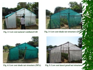 Greenhouse Technology Lecture on Protected Cultivation
