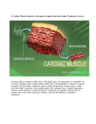 3. Cardiac Muscle Contracts in Response to Signals from the Cardiac Conduction System
The heart wall is composed of three layers. The middle layer, the myocardium, is responsible for
the heart’s pumping action. Cardiac muscle, found only in the myocardium, contracts in response
to signals from the cardiac conduction system to make the heart beat. Cardiac muscle is made
from cells called cardiocytes. Like skeletal muscle cells cardiocytes have a striated appearance,
but their overall structure is shorter and thicker. Cardiocytes are branched, allowing them to
connect with several other cardiocytes, forming a network that facilitates coordinated
contraction.
 