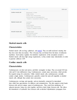 Skeletal muscle cells
Characteristics
Skeletal muscle cells are long, cylindrical, and striated. They are multi-nucleated meaning that
they have more than one nucleus. This is because they are formed from the fusion of embryonic
myoblasts. Each nucleus regulates the metabolic requirements of the sarcoplasm around it.
Skeletal muscle cells have high energy requirements, so they contain many mitochondria in order
to generate sufficient ATP.
Cardiac muscle cells
Characteristics
Cardiomyocytes are short and narrow, and fairly rectangular in shape. They are around 0.02 mm
wide and 0.1 mm (millimeters) long. Cardiomyocytes contain many sarcosomes, which provide
the required energy for contraction. Unlike skeletal muscle cells, cardiomyocytes normally
contain a single nucleus. Cardiomyocytes generally contain the same cell organelles as skeletal
muscle cells, although they contain more sarcosomes.
Cardiomyocytes are large and muscular, and are structurally connected by intercalated
discs which have gap junctions for diffusion and communication. The discs appear as dark bands
between cells and are a unique aspect of cardiomyocytes. They result from membranes of
adjacent myocytes being very close together, and form a kind of glue between cells. This allows
the transmission of contractile force between cells as electrical depolarization propagates from
 