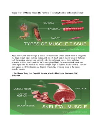 Topic: Types of Muscle Tissue: The Function of Skeletal, Cardiac, and Smooth Muscle
About half of your body’s weight is muscle. In the muscular system, muscle tissue is categorized
into three distinct types: skeletal, cardiac, and smooth. Each type of muscle tissue in the human
body has a unique structure and a specific role. Skeletal muscle moves bones and other
structures. Cardiac muscle contracts the heart to pump blood. The smooth muscle tissue that
forms organs like the stomach and bladder changes shape to facilitate bodily functions. Here are
more details about the structure and function of each type of muscle tissue in the human
muscular system.
1. The Human Body Has Over 600 Skeletal Muscles That Move Bones and Other
Structures
 