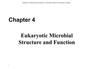 Copyright © The McGraw-Hill Companies, Inc. Permission required for reproduction or display.
1
Chapter 4
Eukaryotic Microbial
Structure and Function
 