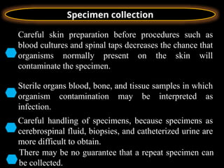 Organ Sample Collection Specimen collection gnjbbvvjnbvvvbmvccch | PPTX