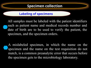 Specimen collection gnjbbvvjnbvvvbmvccch | PPTX